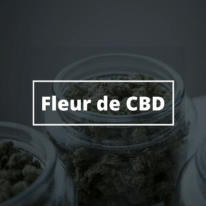 Fleur de CBD