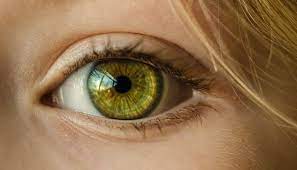 Le CBD et le glaucome : Contribue-t-il à réduire la pression oculaire ?